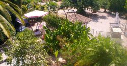 Quinta com piscina perto de Moncarapacho
