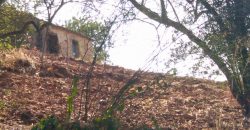 Terreno com ruína em zona calma campestre na serra de Tavira