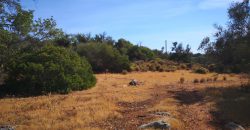 Rustic land with 1ha near Moncarapacho