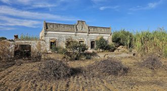 Quinta para recuperar com 3,7 ha de terreno no Parque Natural da Ria Formosa.