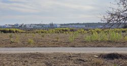 Zu restaurierender Bauernhof mit 3,7 ha Land im Naturpark Ria Formosa.