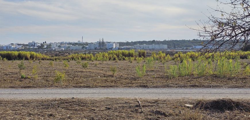 Zu restaurierender Bauernhof mit 3,7 ha Land im Naturpark Ria Formosa.
