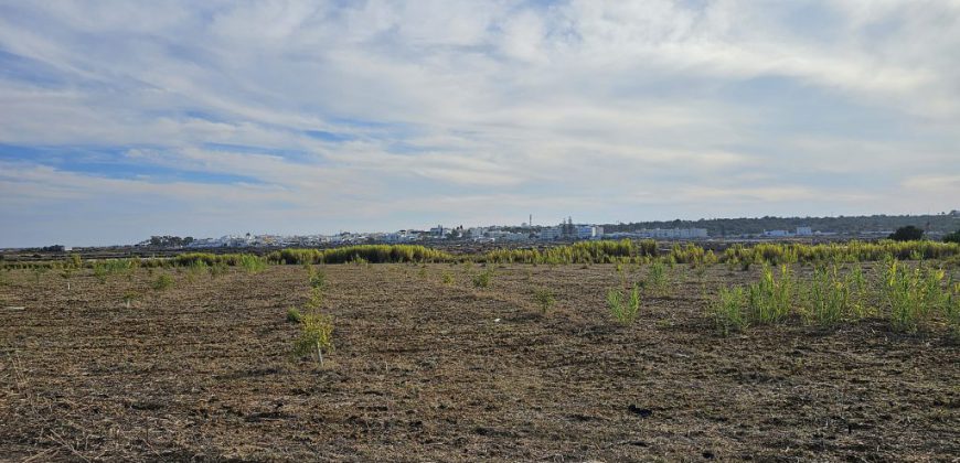 Zu restaurierender Bauernhof mit 3,7 ha Land im Naturpark Ria Formosa.