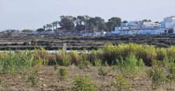 Zu restaurierender Bauernhof mit 3,7 ha Land im Naturpark Ria Formosa.