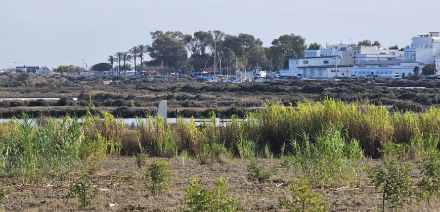 Zu restaurierender Bauernhof mit 3,7 ha Land im Naturpark Ria Formosa.